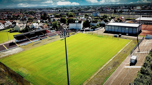 发挥影响胜 发挥影响胜