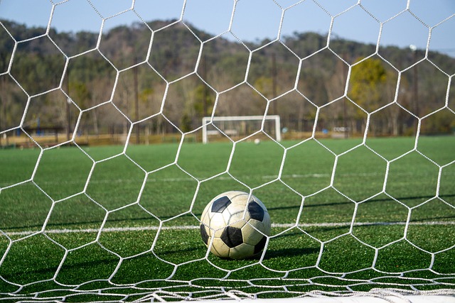 卡纳瓦罗的 卡纳瓦罗的