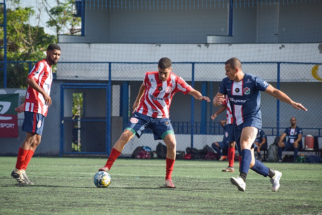 篮球世界 篮球世界