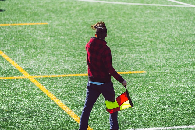 虽然未能晋 虽然未能晋