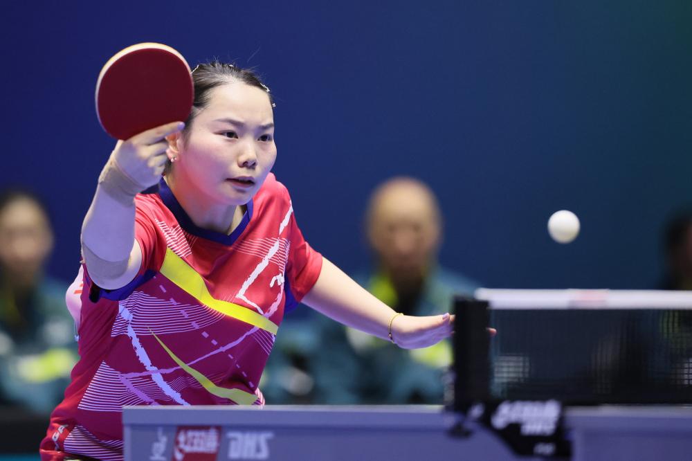 港壁球長年 港壁球長年