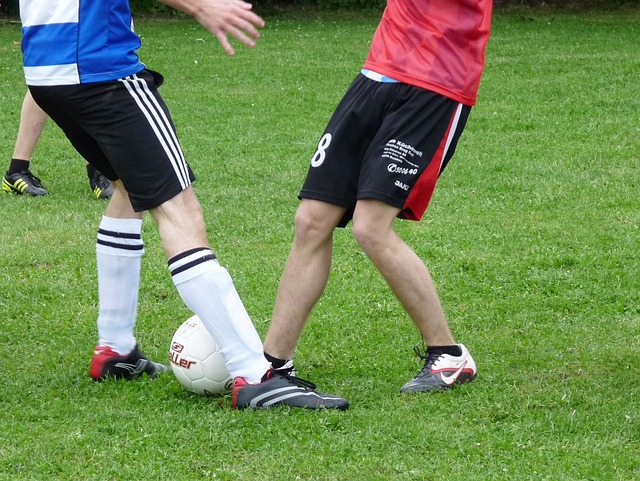 与心理素质 与心理素质